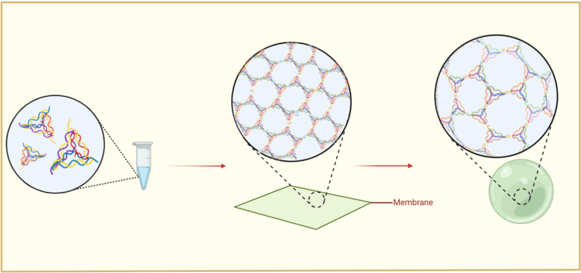 image-20251010193602864